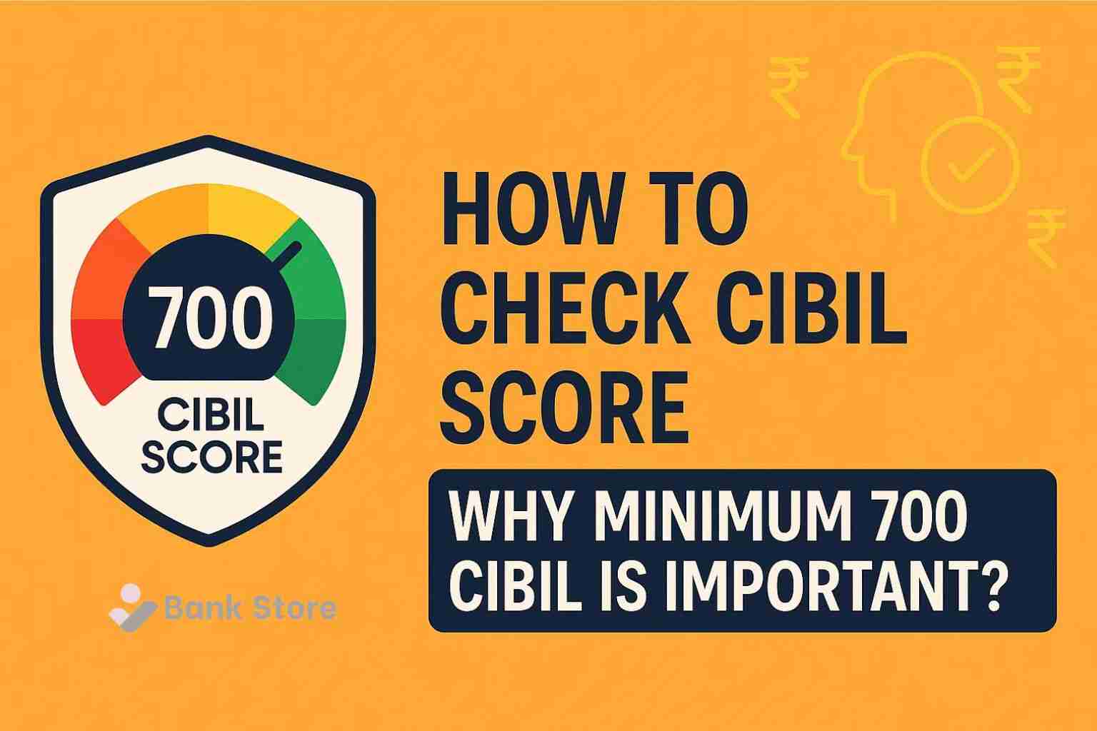 700 CIBIL is Important